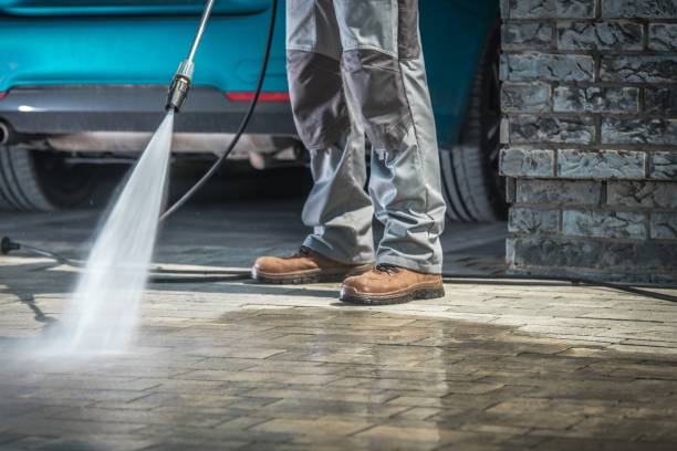 Best Roof Cleaning and Mildew Removal in Dacula, GA